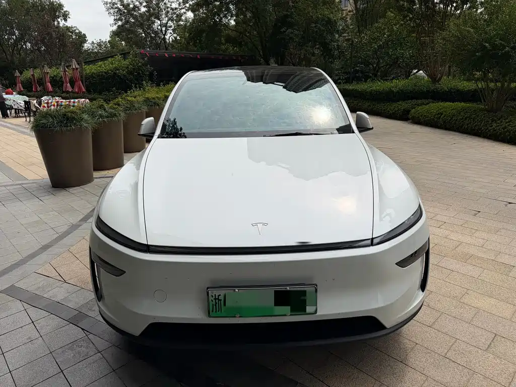 Tesla Model Y — фото 2