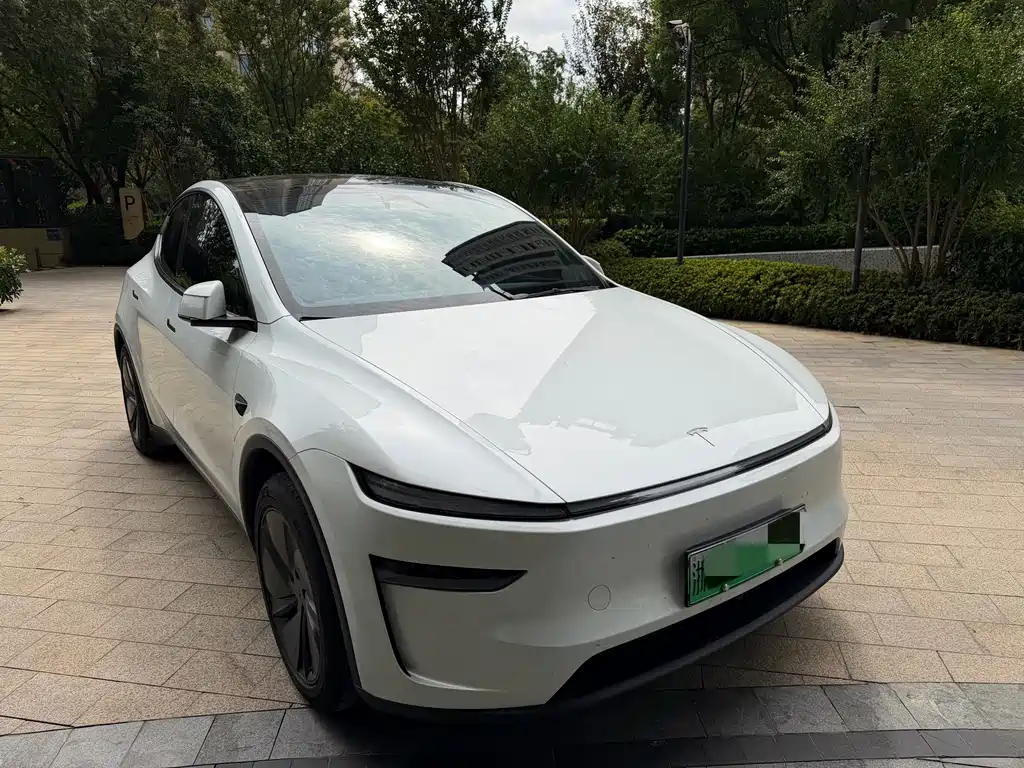 Tesla Model Y — фото 3