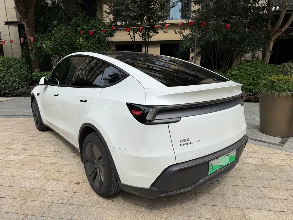 Tesla Model Y — фото 5