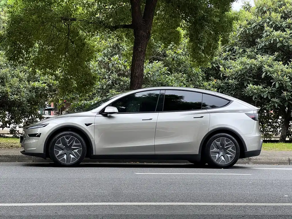 Tesla Model Y L — фото 7