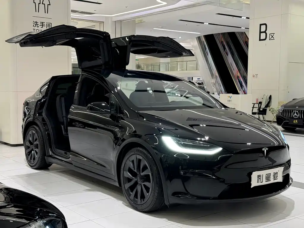 Tesla Model X — фото 2
