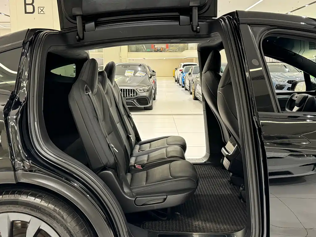 Tesla Model X — фото 11