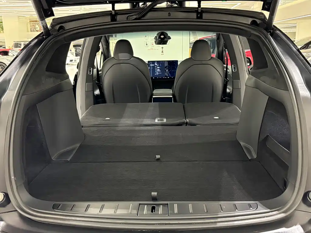 Tesla Model X — фото 18