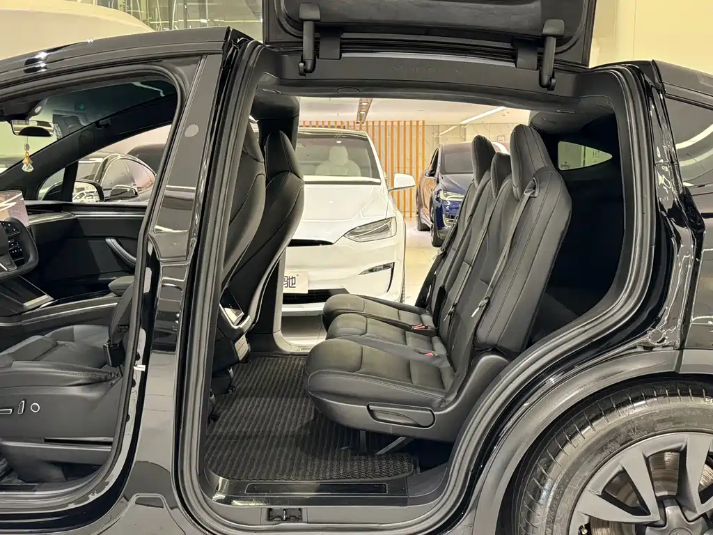 Tesla Model X — фото 20