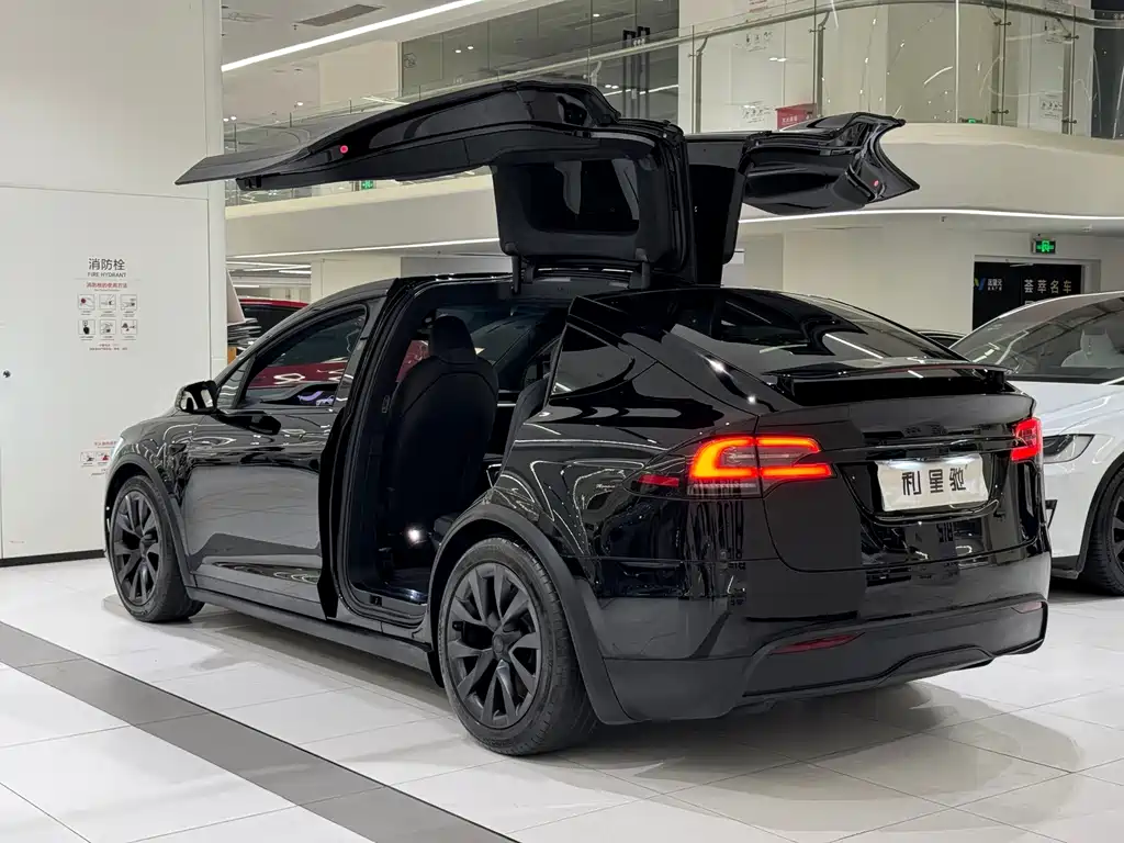 Tesla Model X — фото 3
