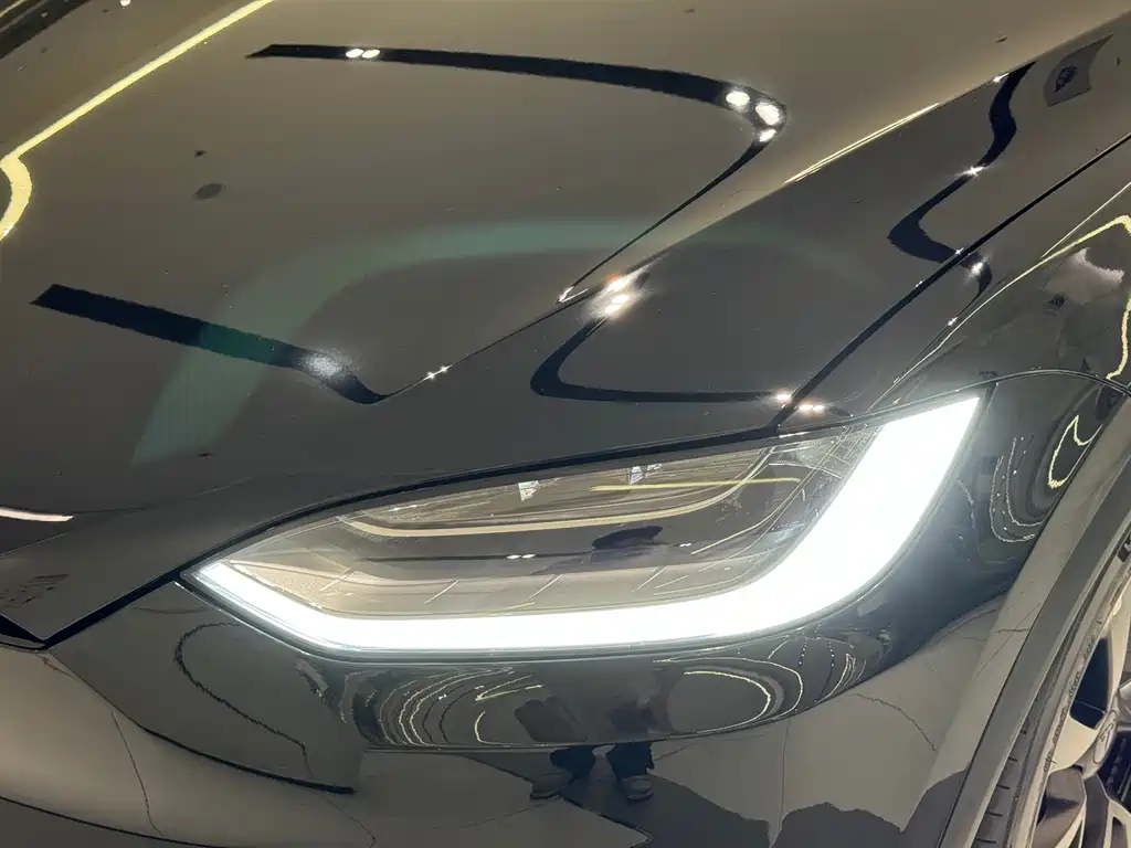 Tesla Model X — фото 22