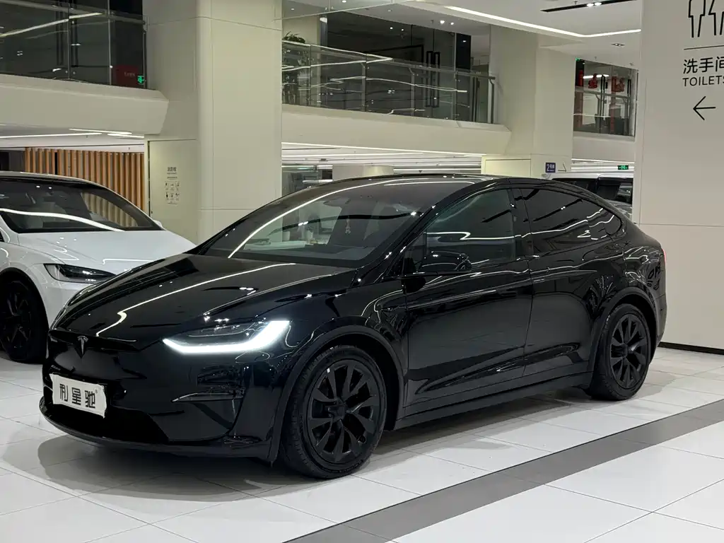 Tesla Model X — фото 23