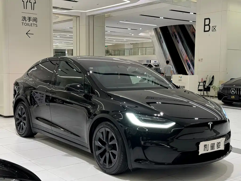 Tesla Model X — фото 24