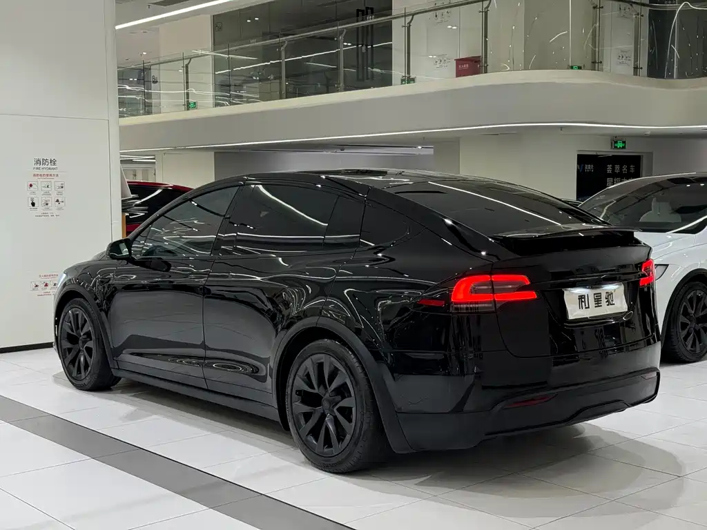 Tesla Model X — фото 26