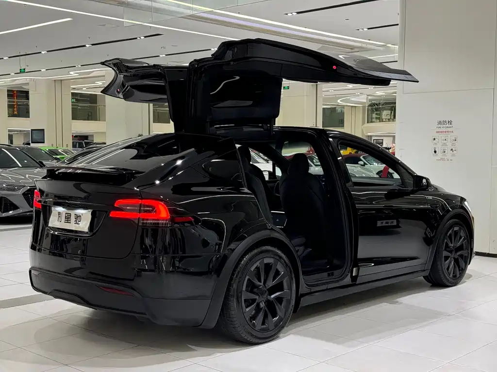 Tesla Model X — фото 4