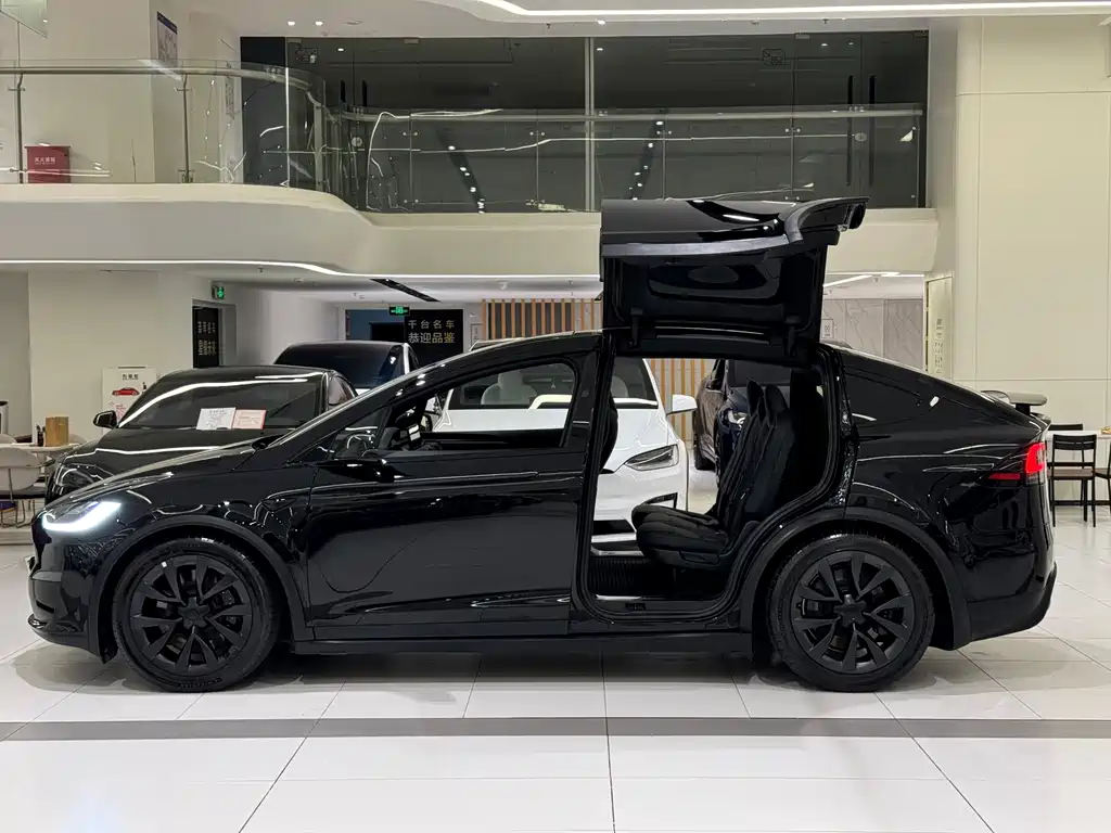 Tesla Model X — фото 5
