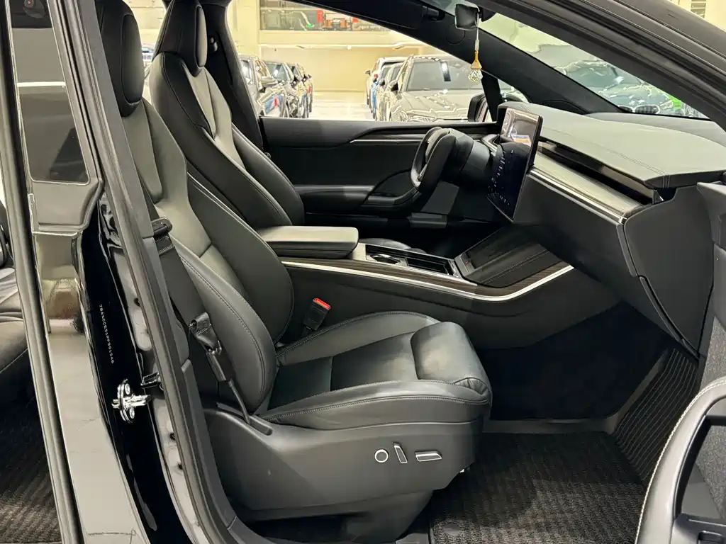Tesla Model X — фото 10