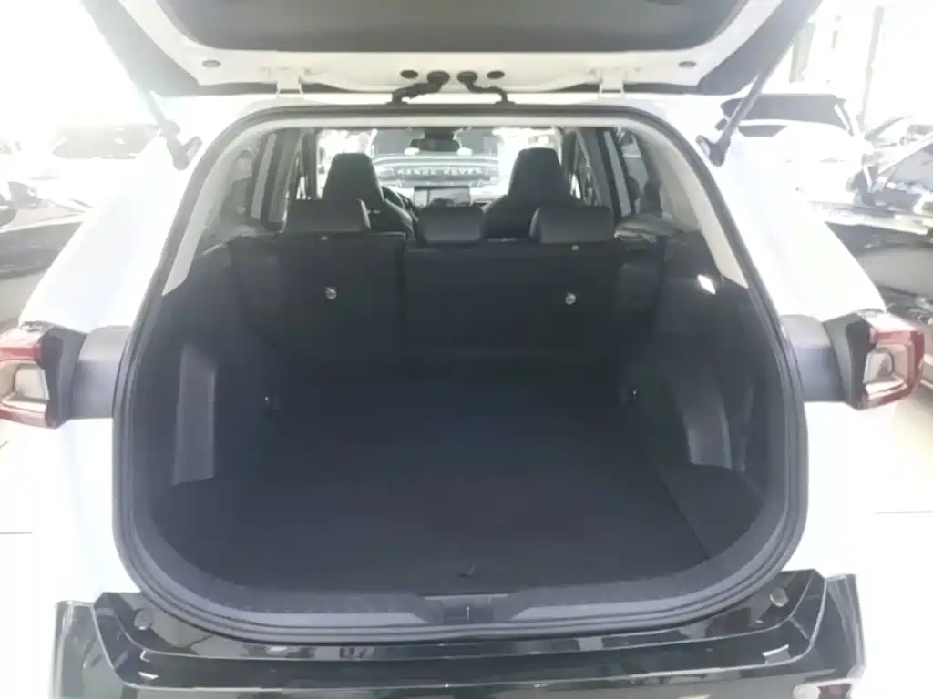 Toyota Wildlander — фото 19