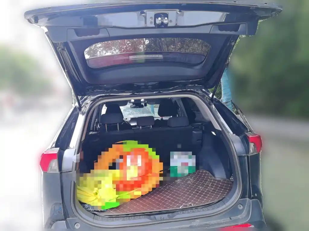 Toyota RAV4 — фото 15
