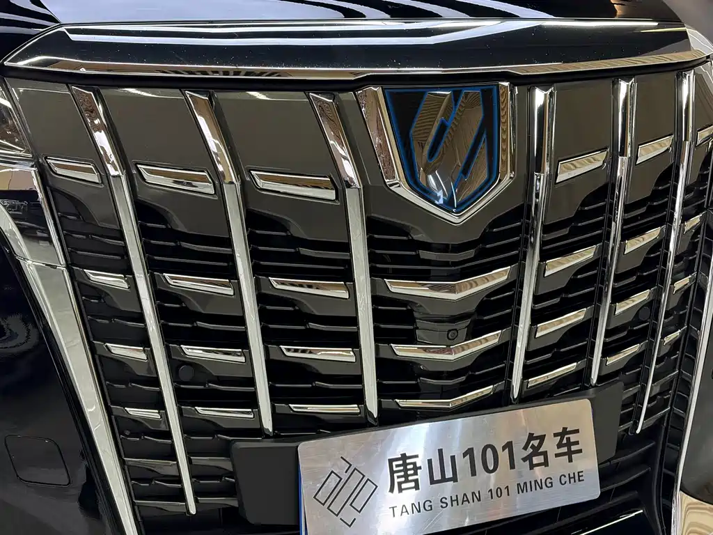 Toyota Alphard — фото 6