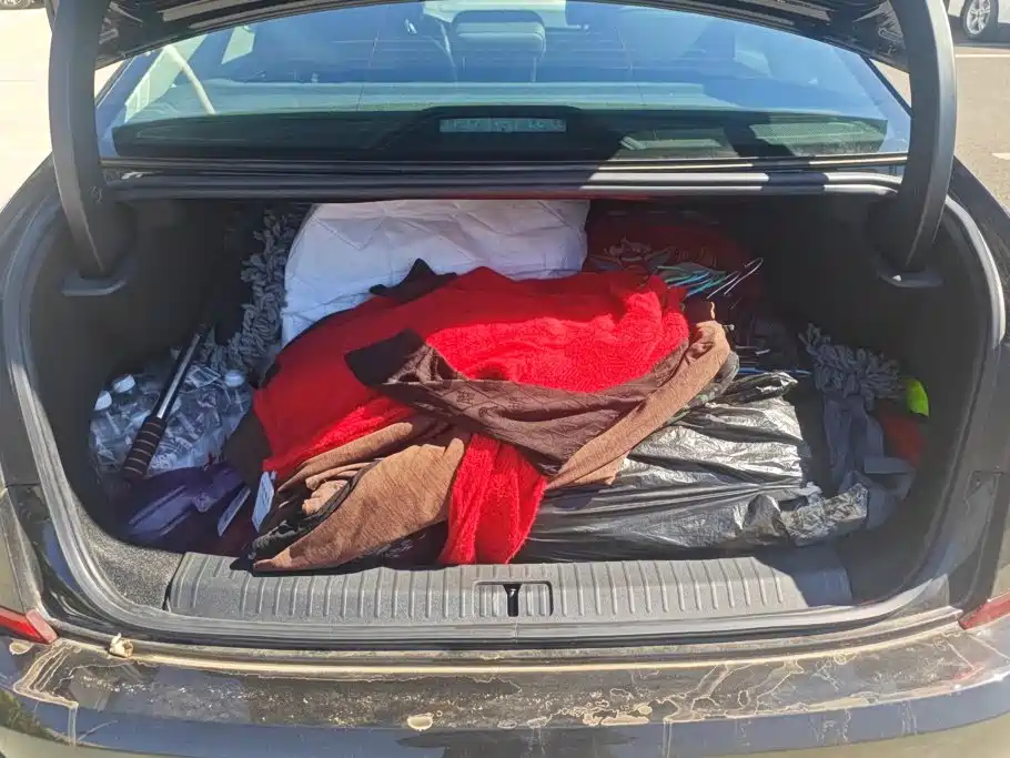 Volkswagen Passat — фото 4
