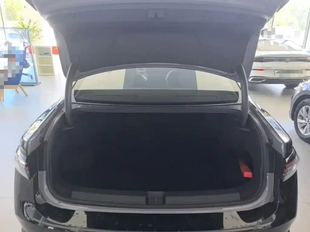 Volkswagen Passat — фото 19
