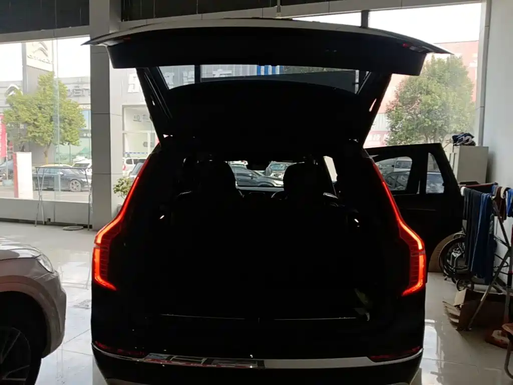 Volvo XC90 — фото 19