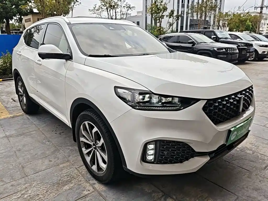 Wey Wey VV6 — фото 4