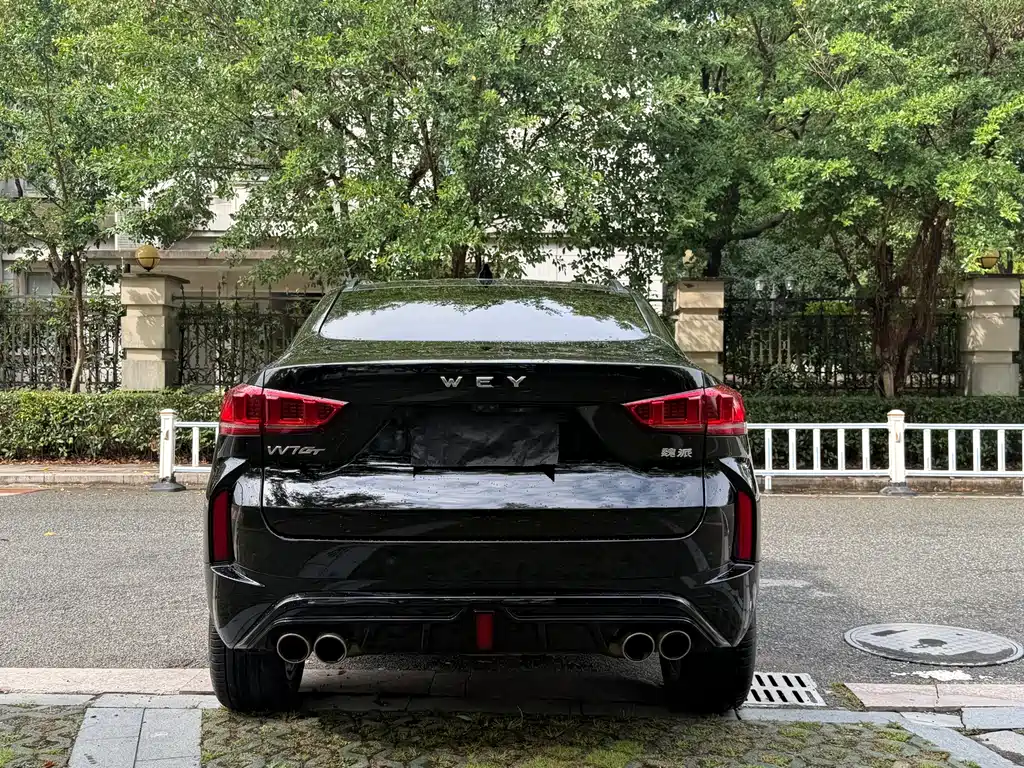 Wey Wey VV7 GT — фото 10