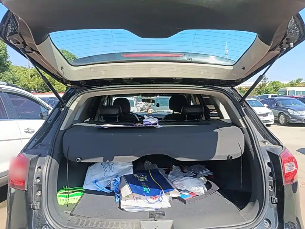Zotye Zotye T600 — фото 19