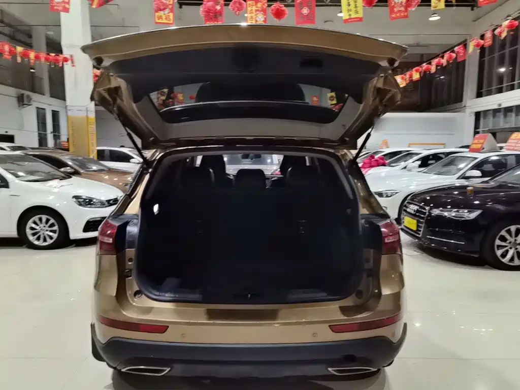 Zotye T600 Coupe — фото 19