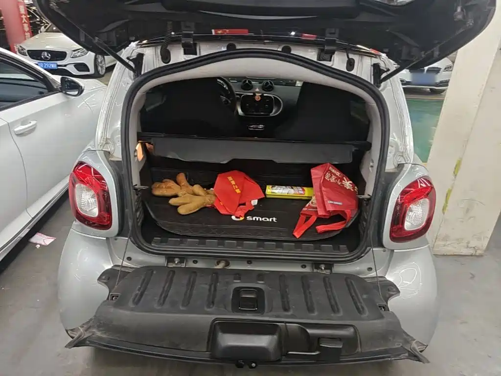 smart Smart Fortwo — фото 19