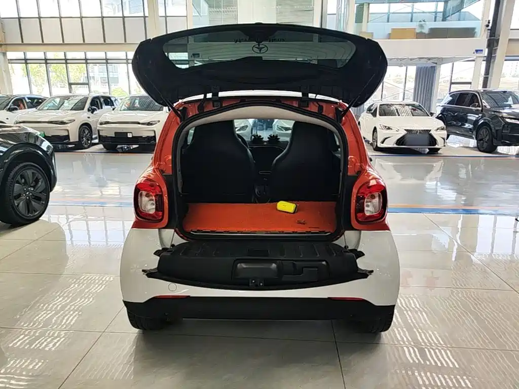 smart Smart Fortwo — фото 19