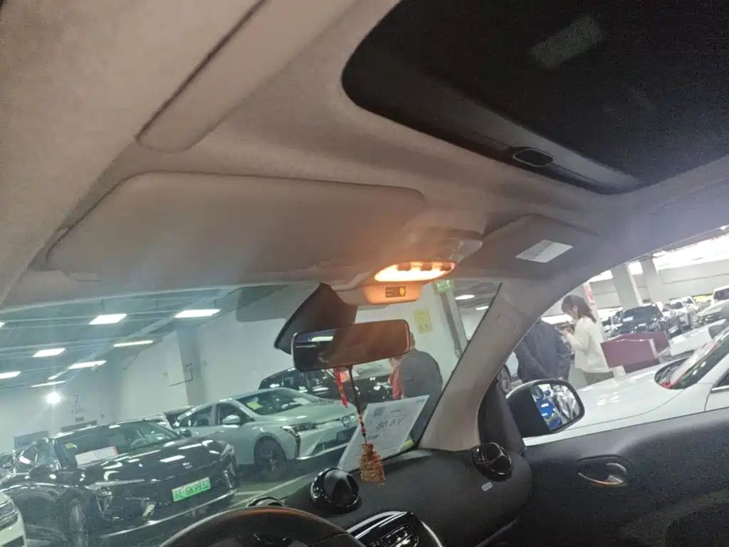 smart Smart Fortwo — фото 18