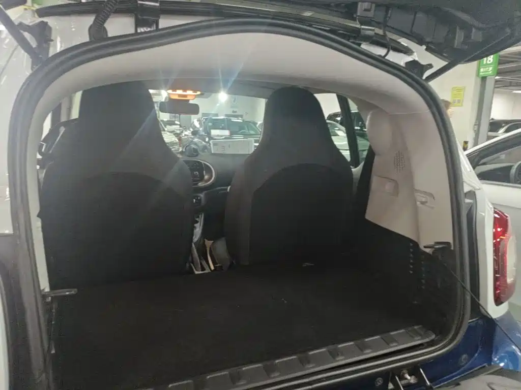 smart Smart Fortwo — фото 19