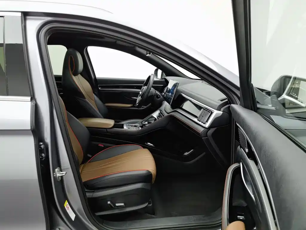 BYD PLUS — фото 23