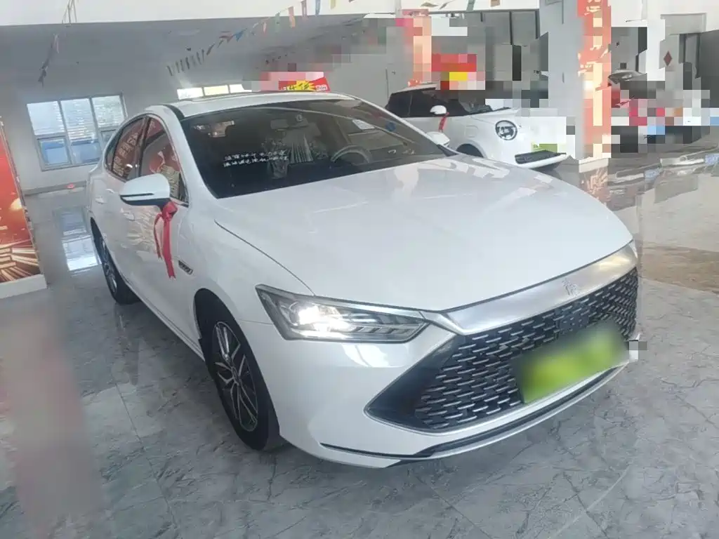 BYD Qin PLUS — фото 4