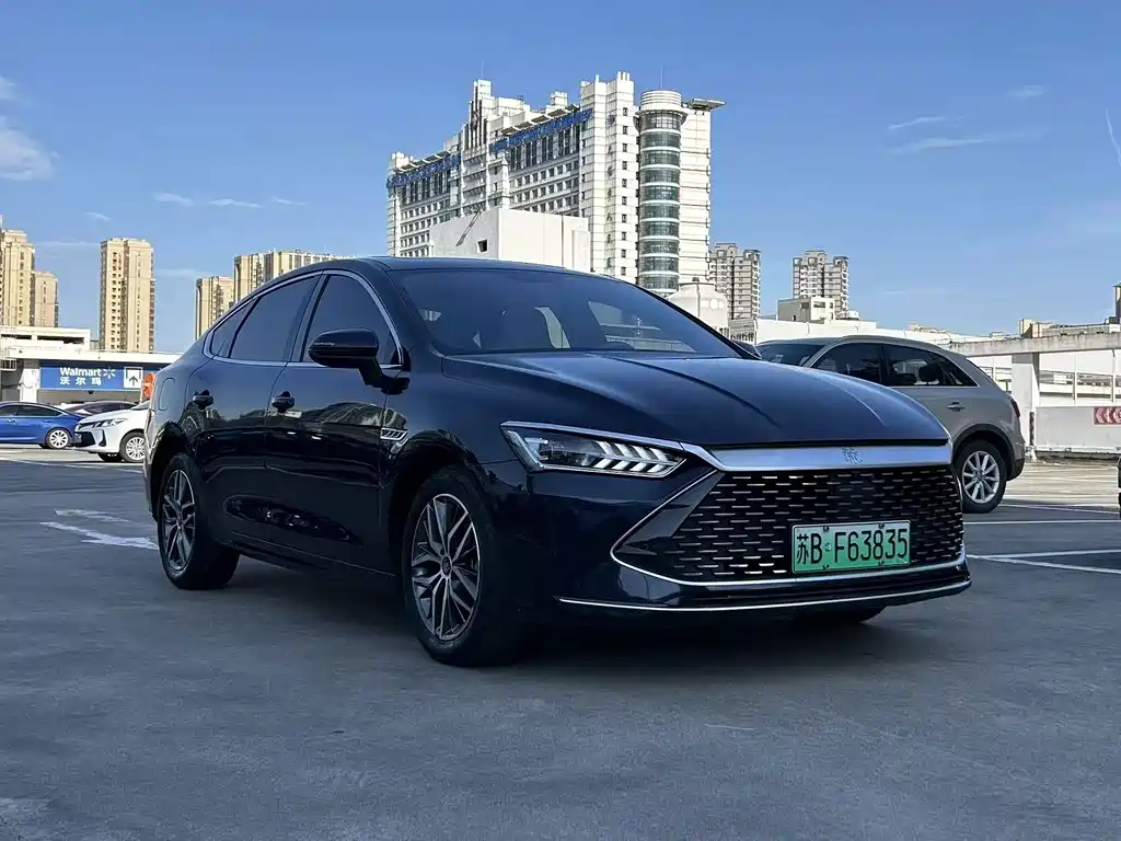BYD Qin PLUS — фото 3