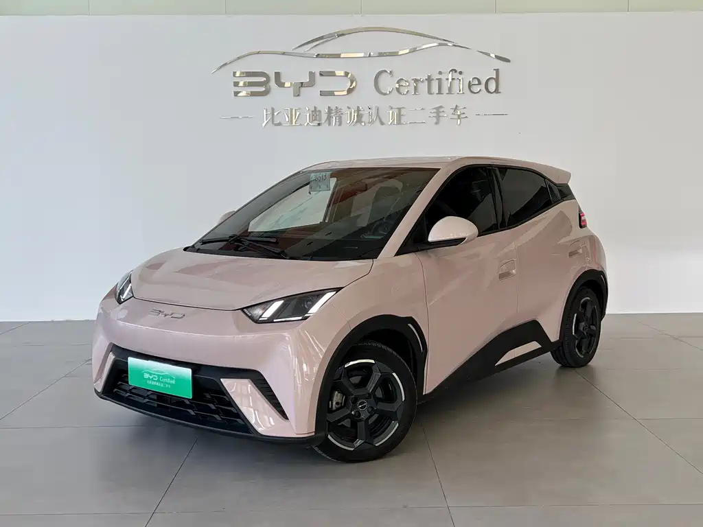 BYD Seagull