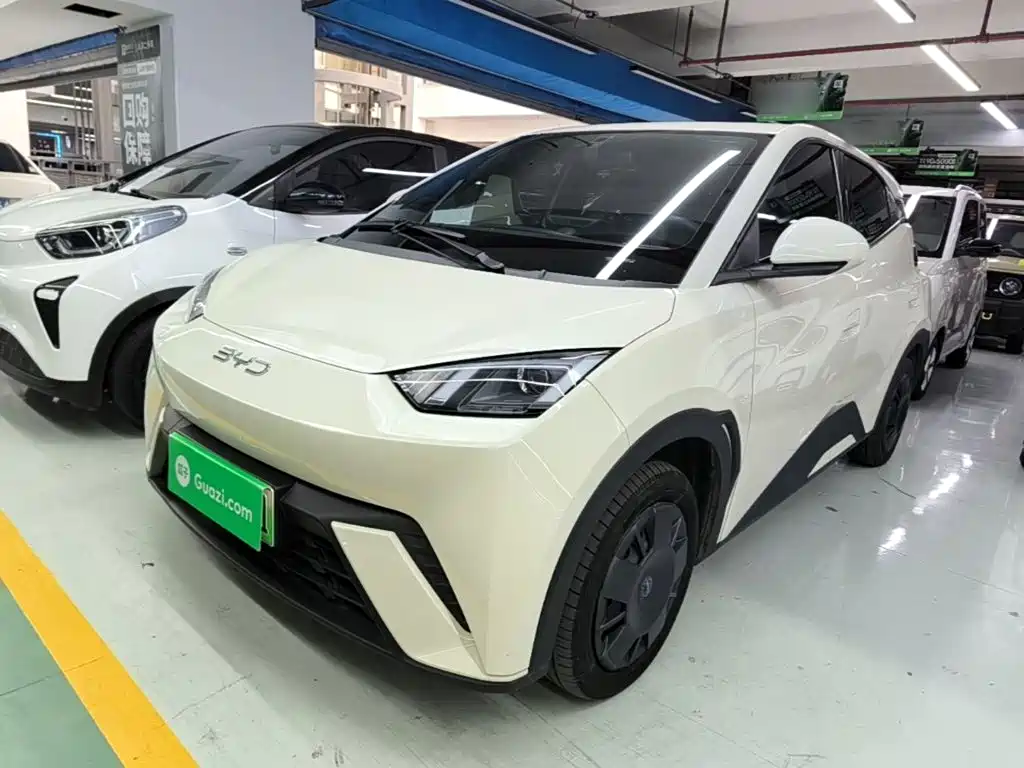 BYD Seagull
