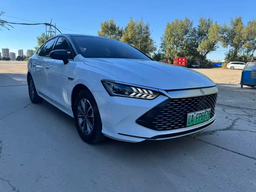 BYD Qin PLUS — фото 3