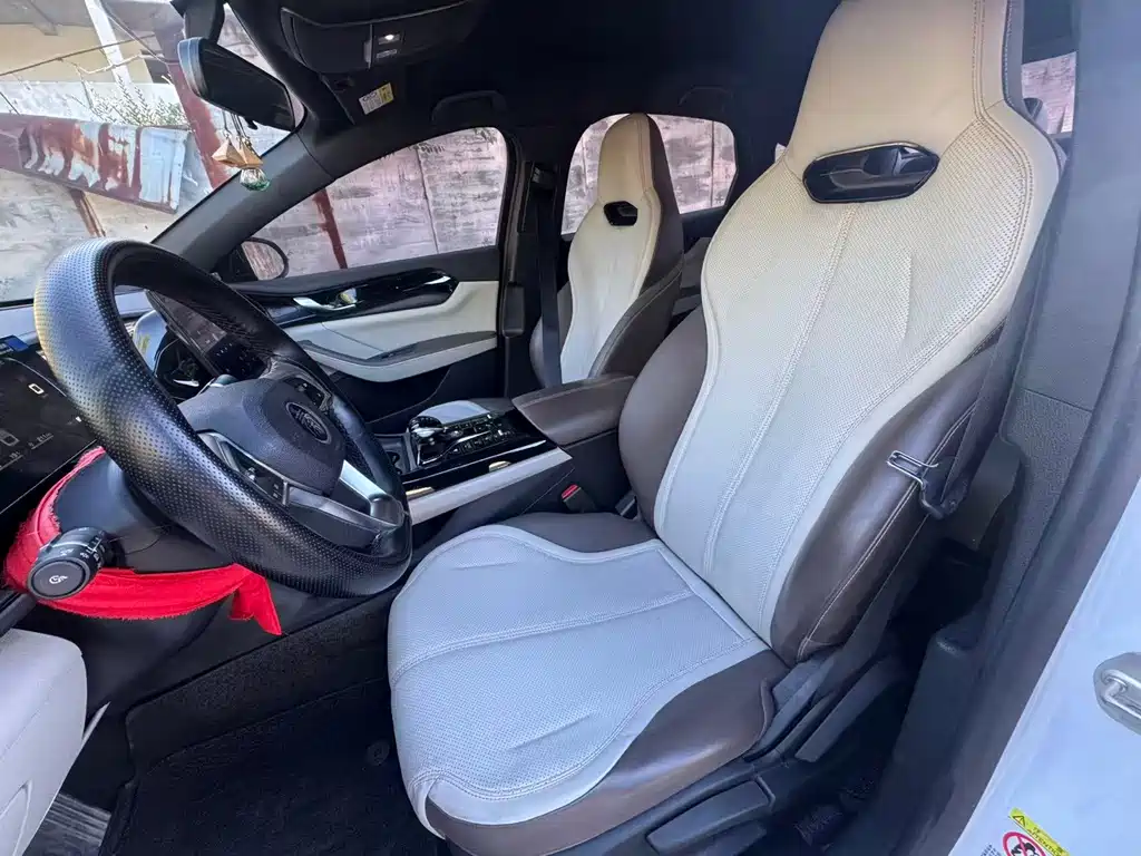 BYD Qin PLUS — фото 10