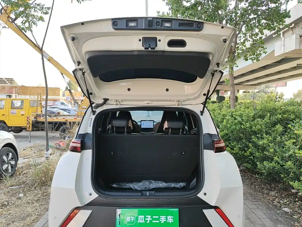 BYD Seagull — фото 19