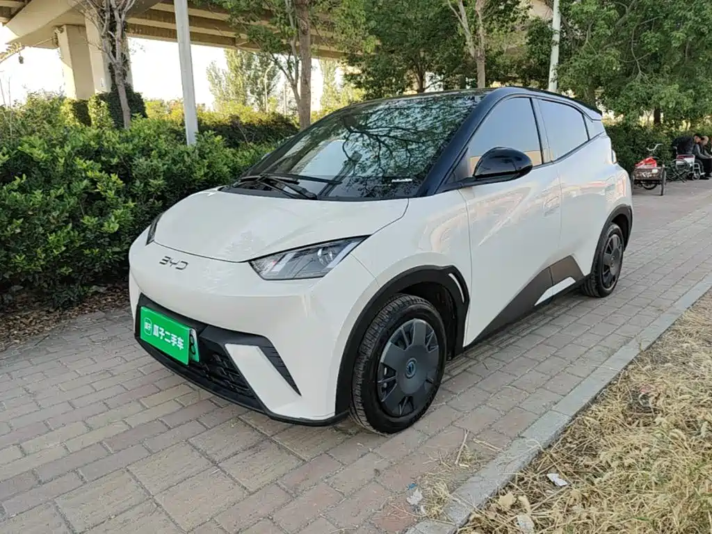 BYD Seagull