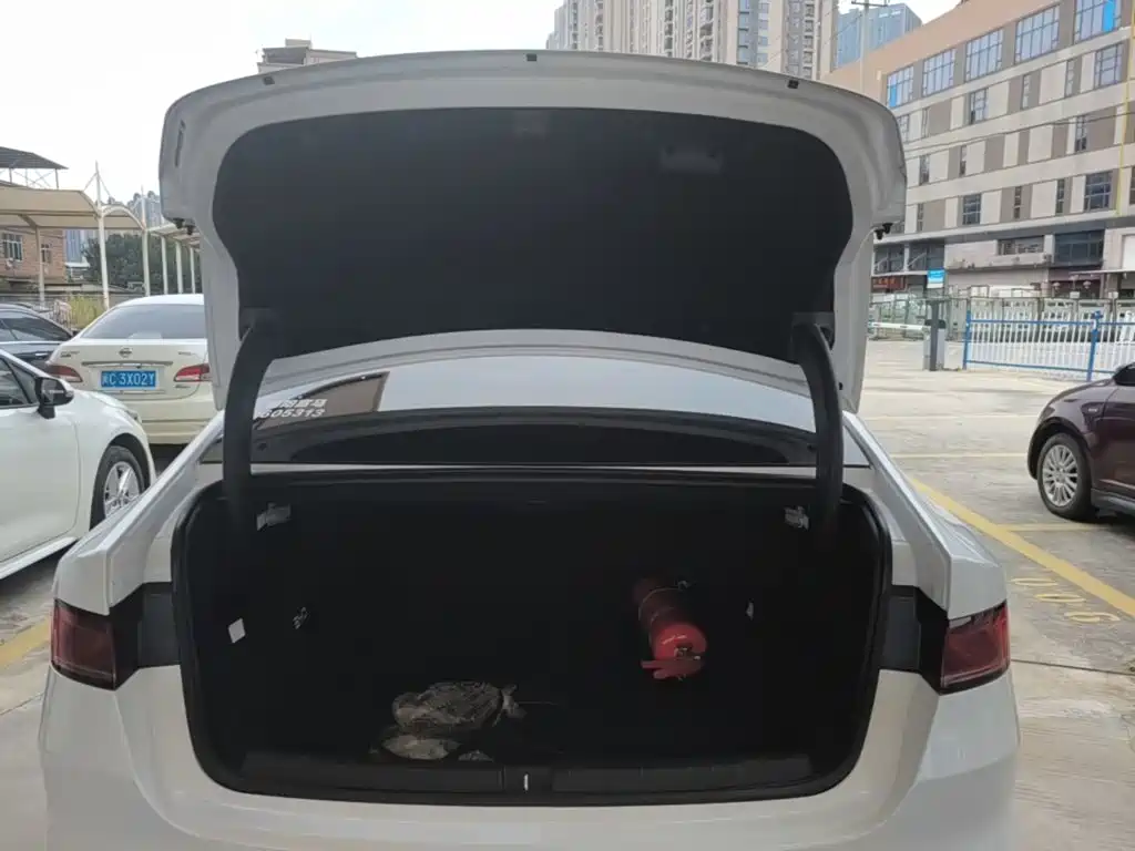 BYD Qin PLUS — фото 19