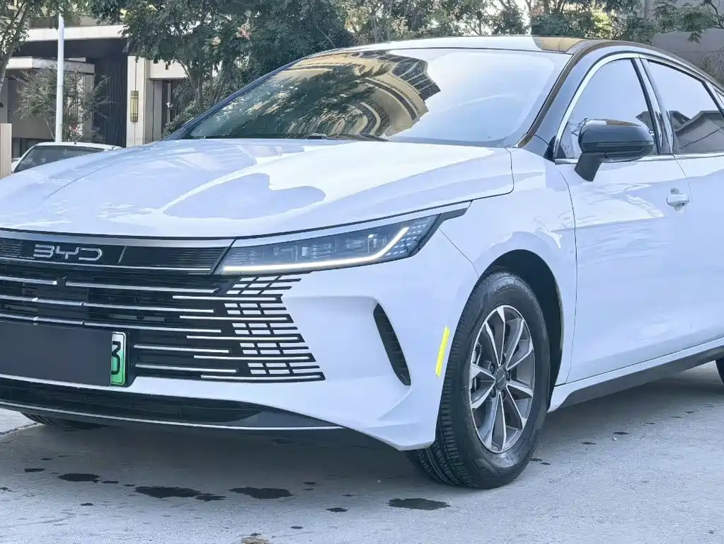 BYD Destroyer 05 — фото 3