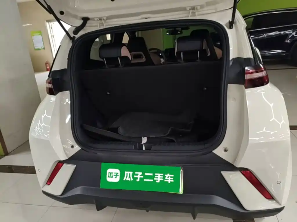 BYD Seagull — фото 19