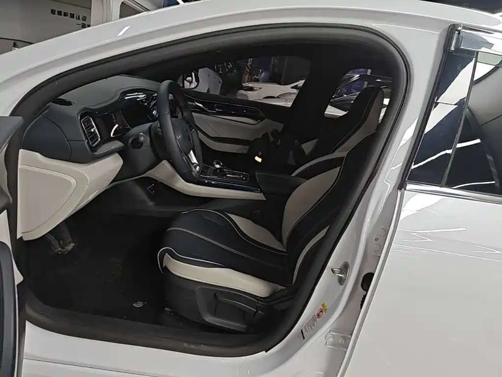 BYD Qin PLUS — фото 15