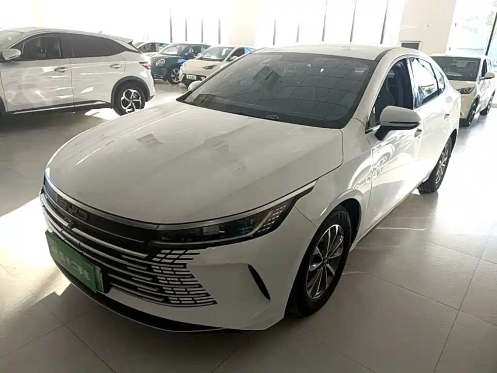 BYD Destroyer 05 — фото 2