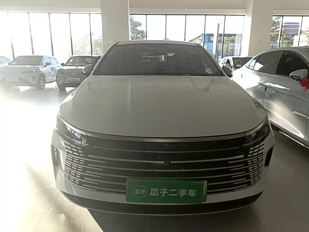 BYD Destroyer 05 — фото 3