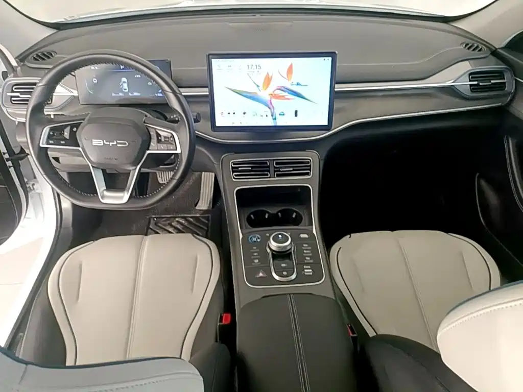 BYD Destroyer 05 — фото 10