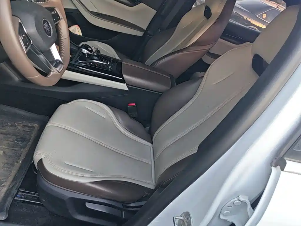 BYD Qin PLUS — фото 15