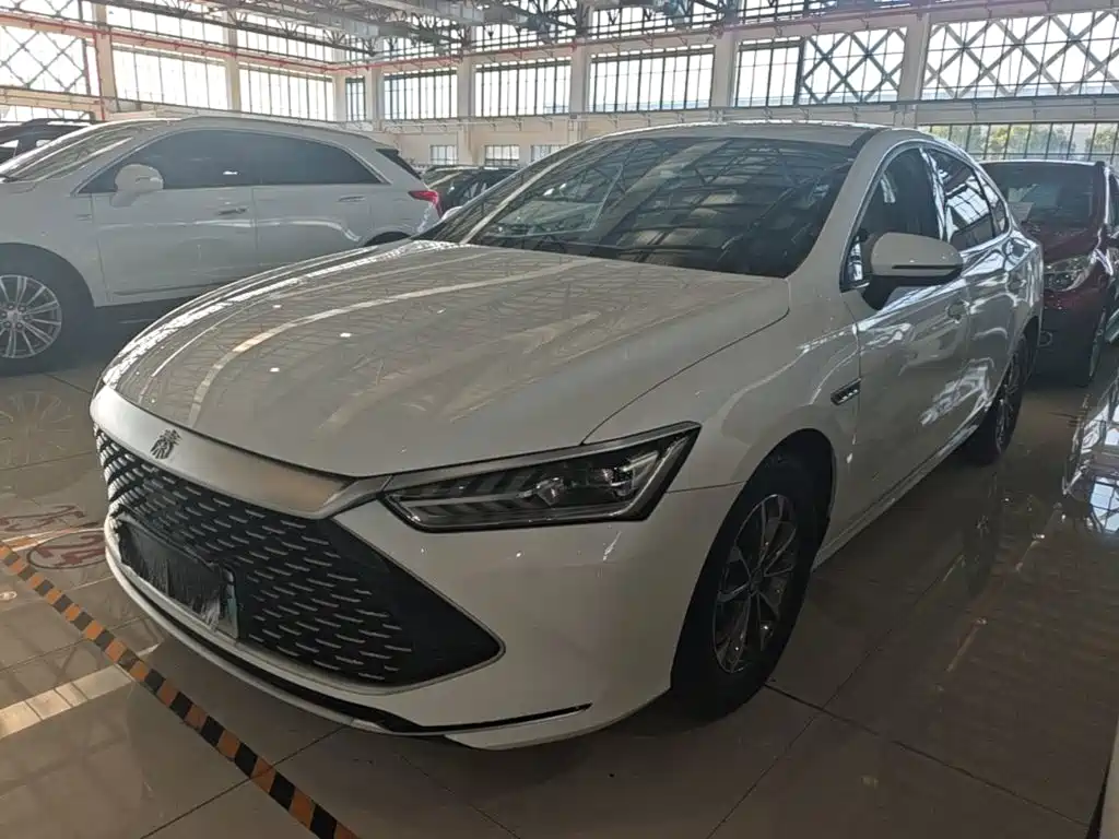 BYD Qin PLUS — фото 2