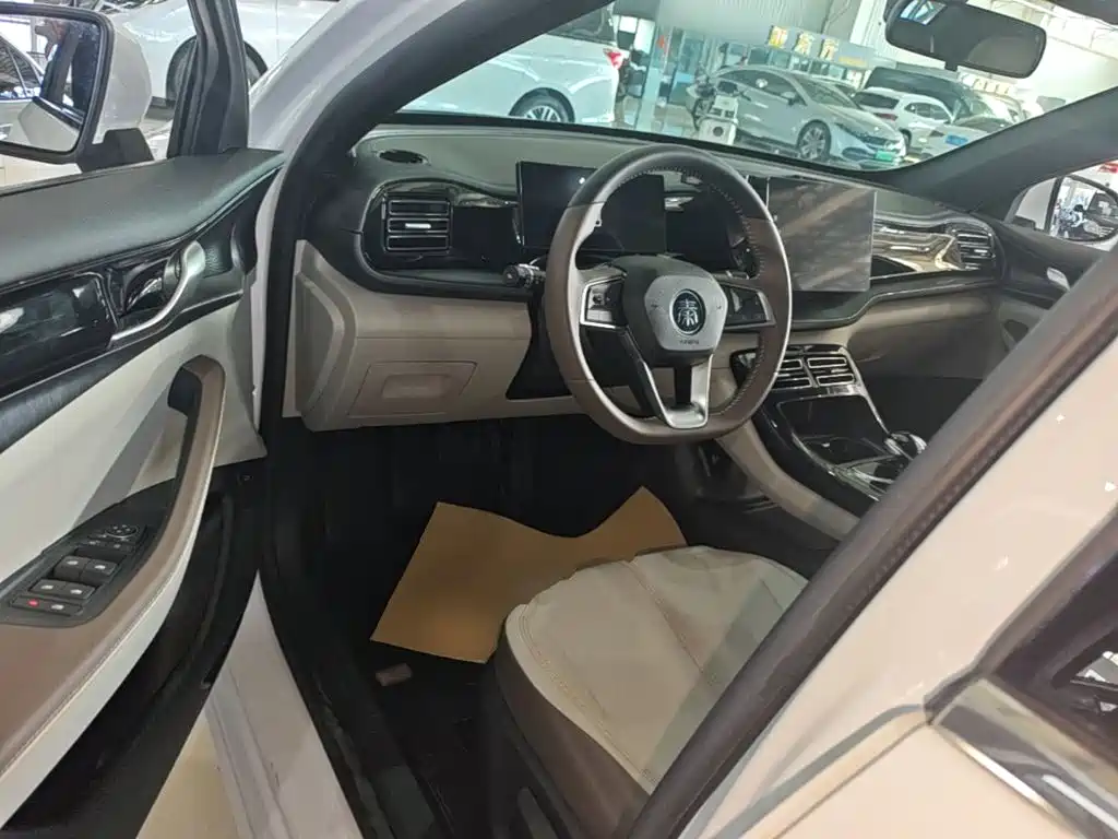 BYD Qin PLUS — фото 16