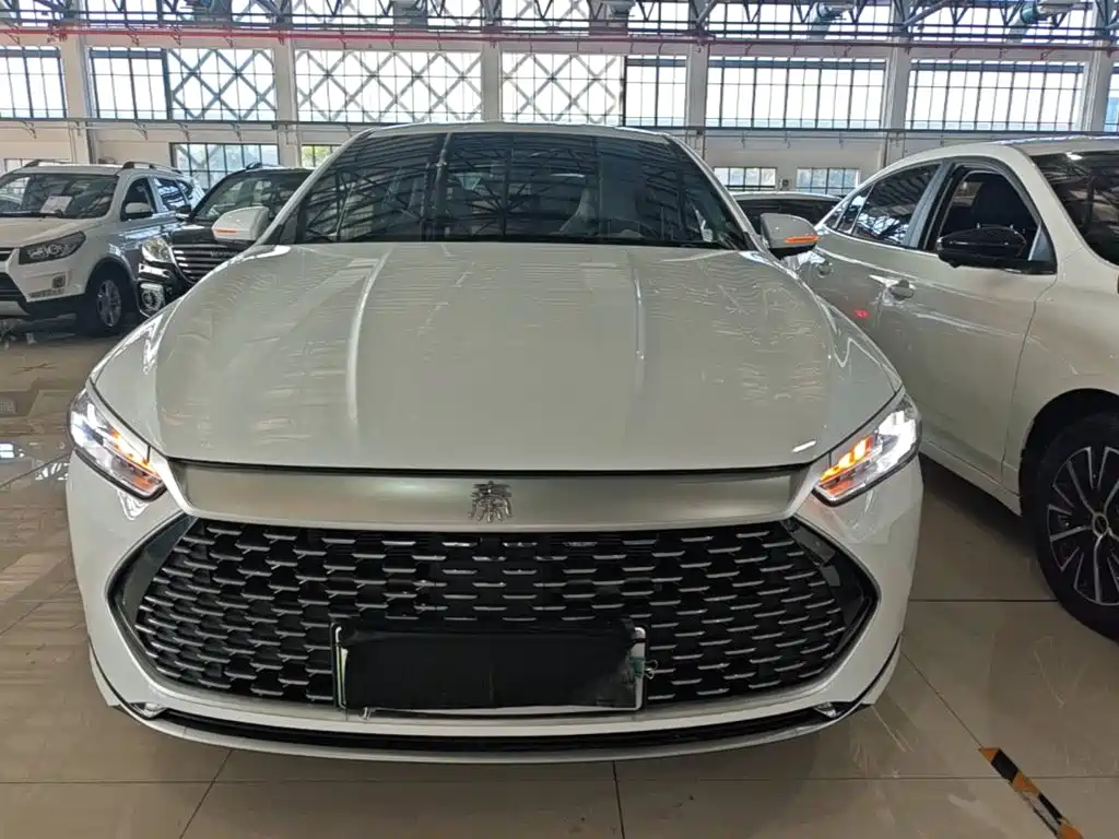BYD Qin PLUS — фото 3